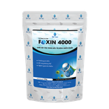  FOXIN 4000 