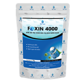  FOXIN 4000 