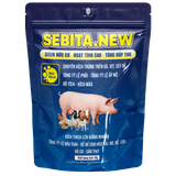  SEBITA.NEW 
