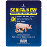  SEBITA.NEW 