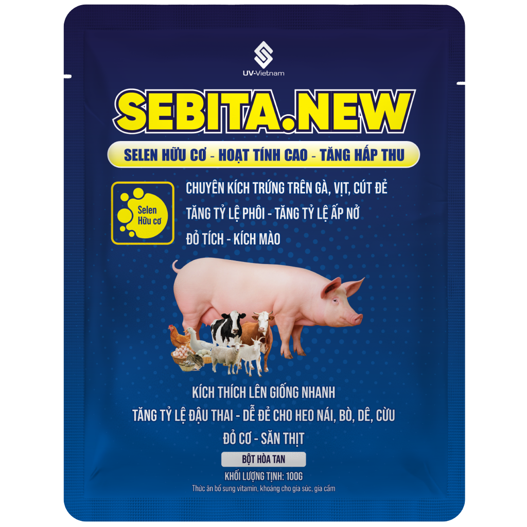  SEBITA.NEW 