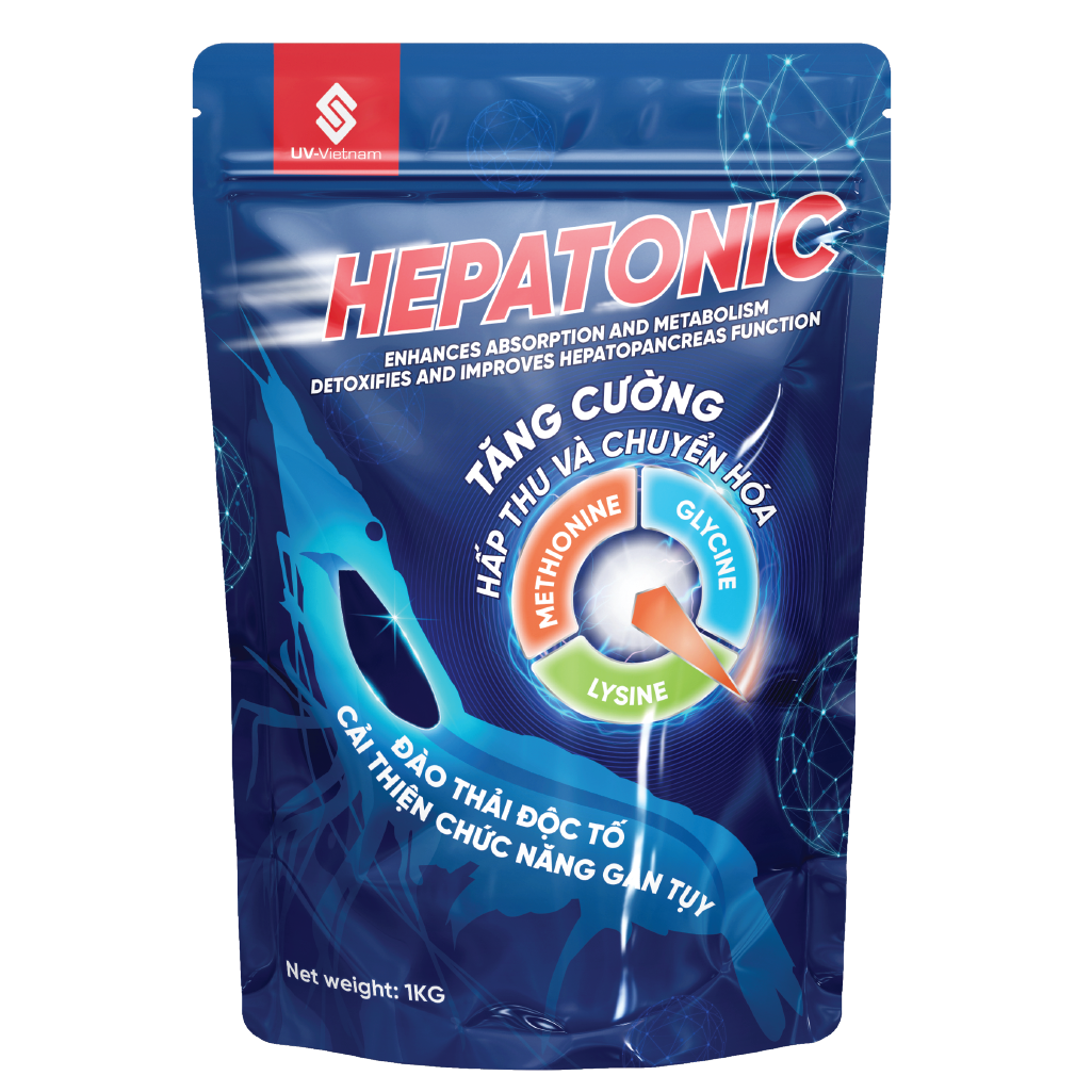  HEPATONIC 