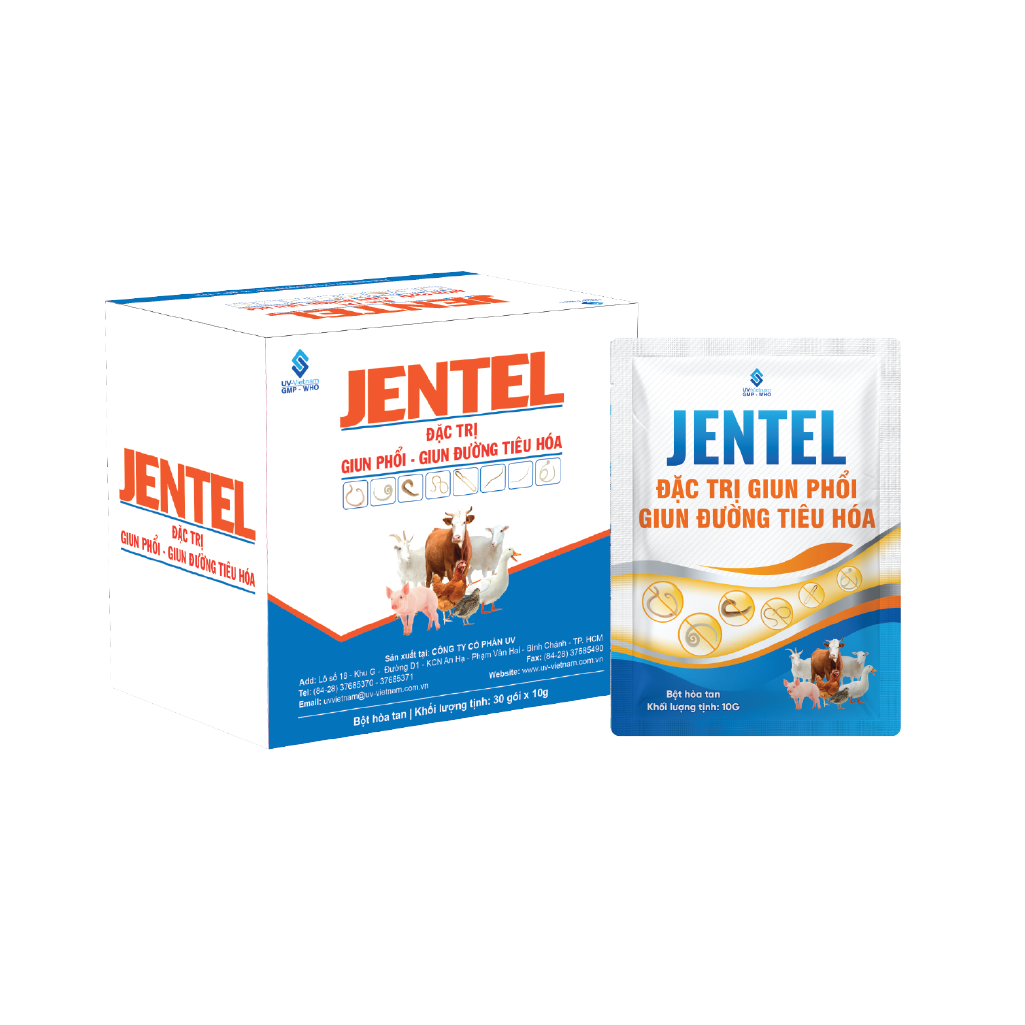  JENTEL 