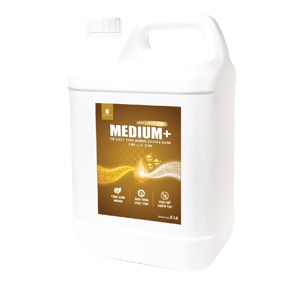  MEDIUM+ 