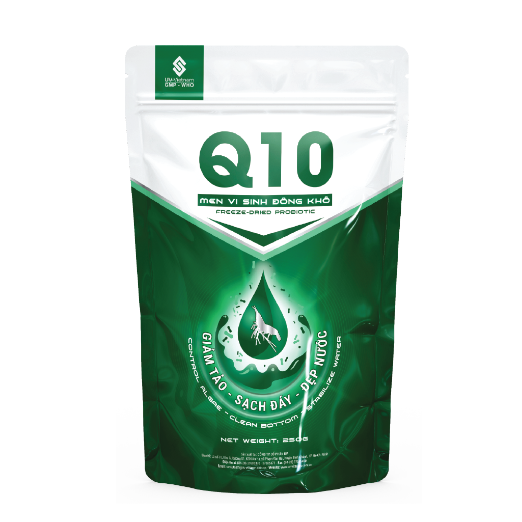  Q10 