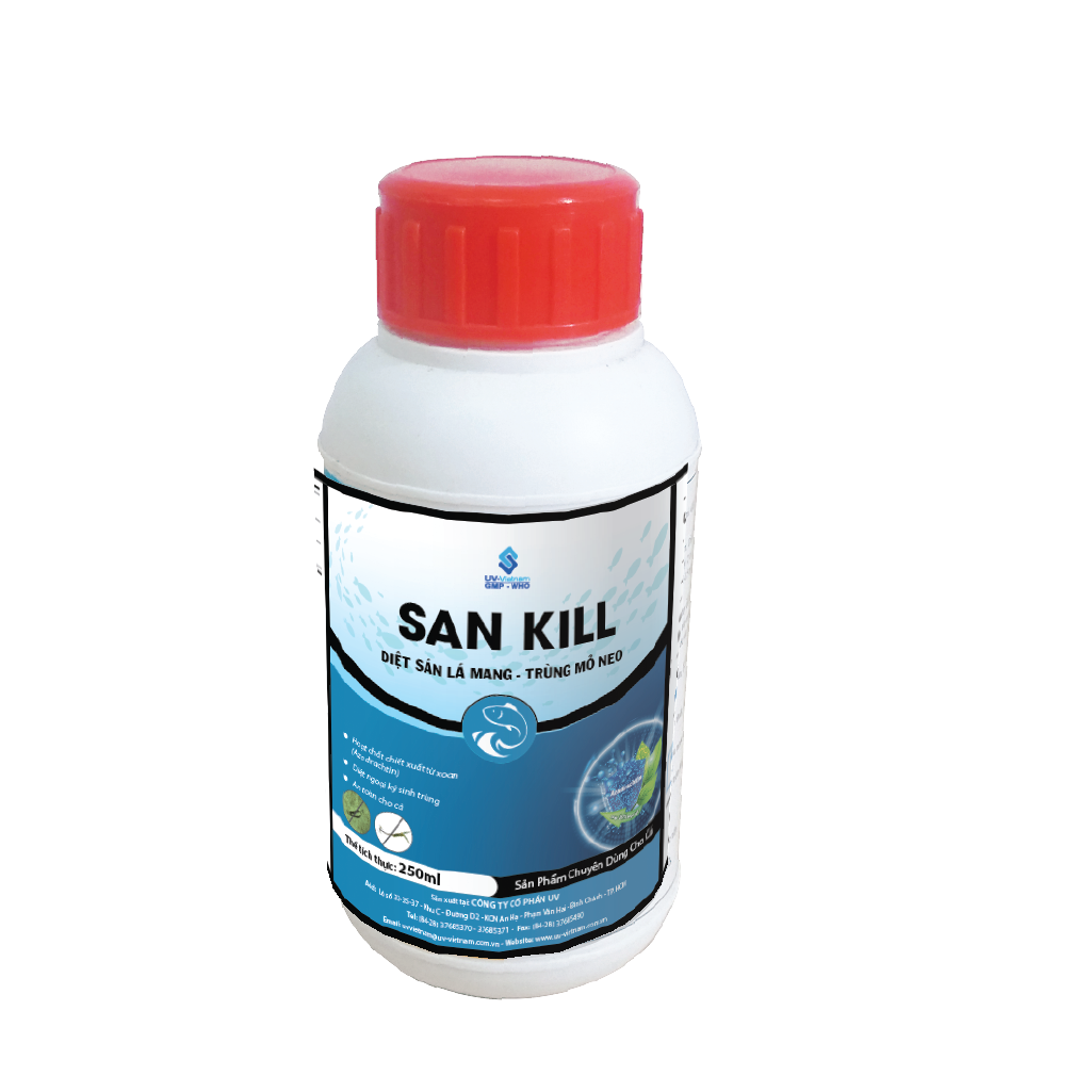  SAN KILL 