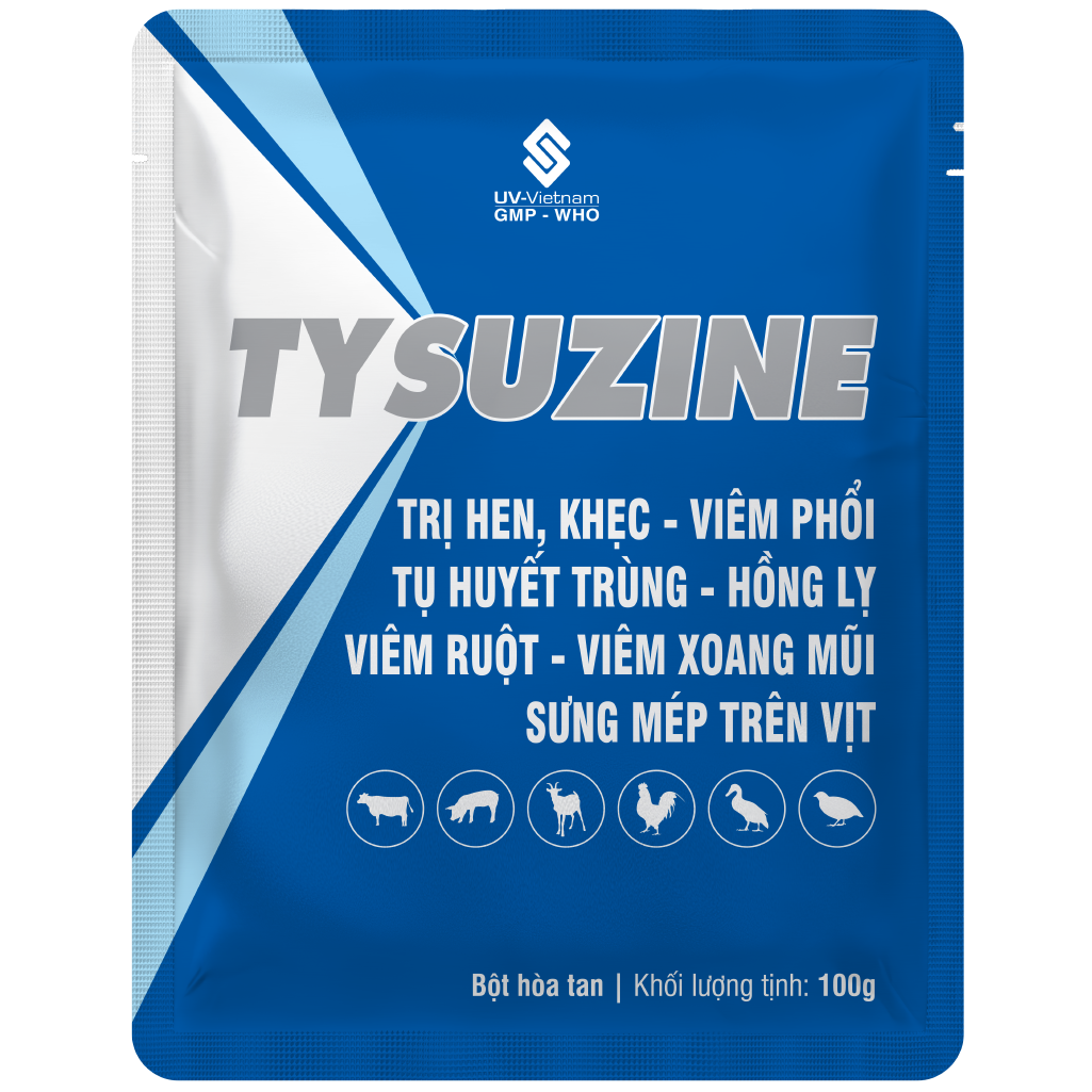  TYSUZINE 