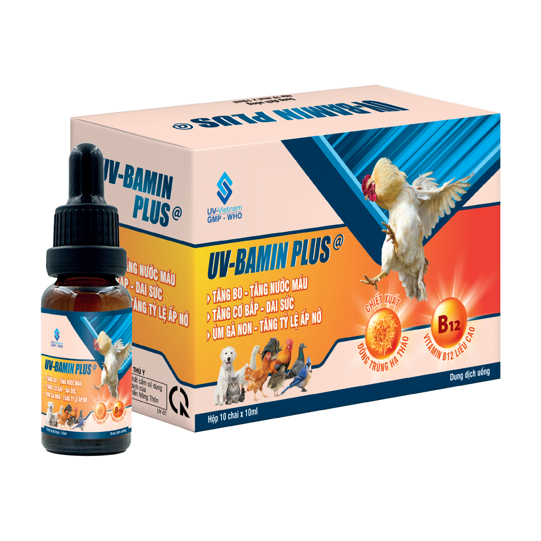  UV-BAMIN PLUS_@ 