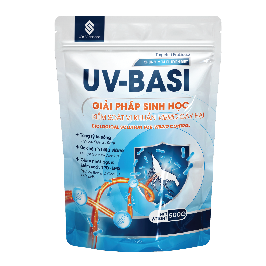  UV-BASI 
