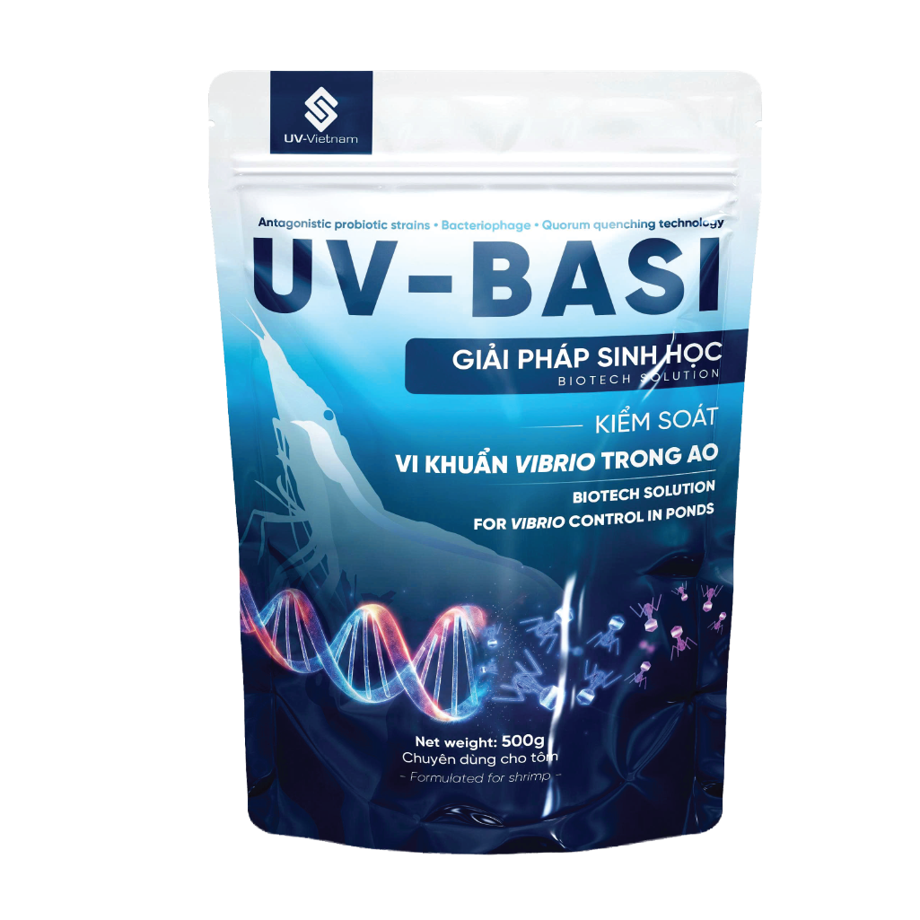  UV-BASI 