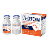  UV-CEFOXIM 