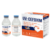  UV-CEFOXIM 