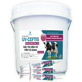  UV-CEFTIS 
