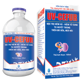  UV-CEFUR 