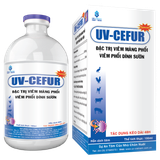  UV-CEFUR_Special 