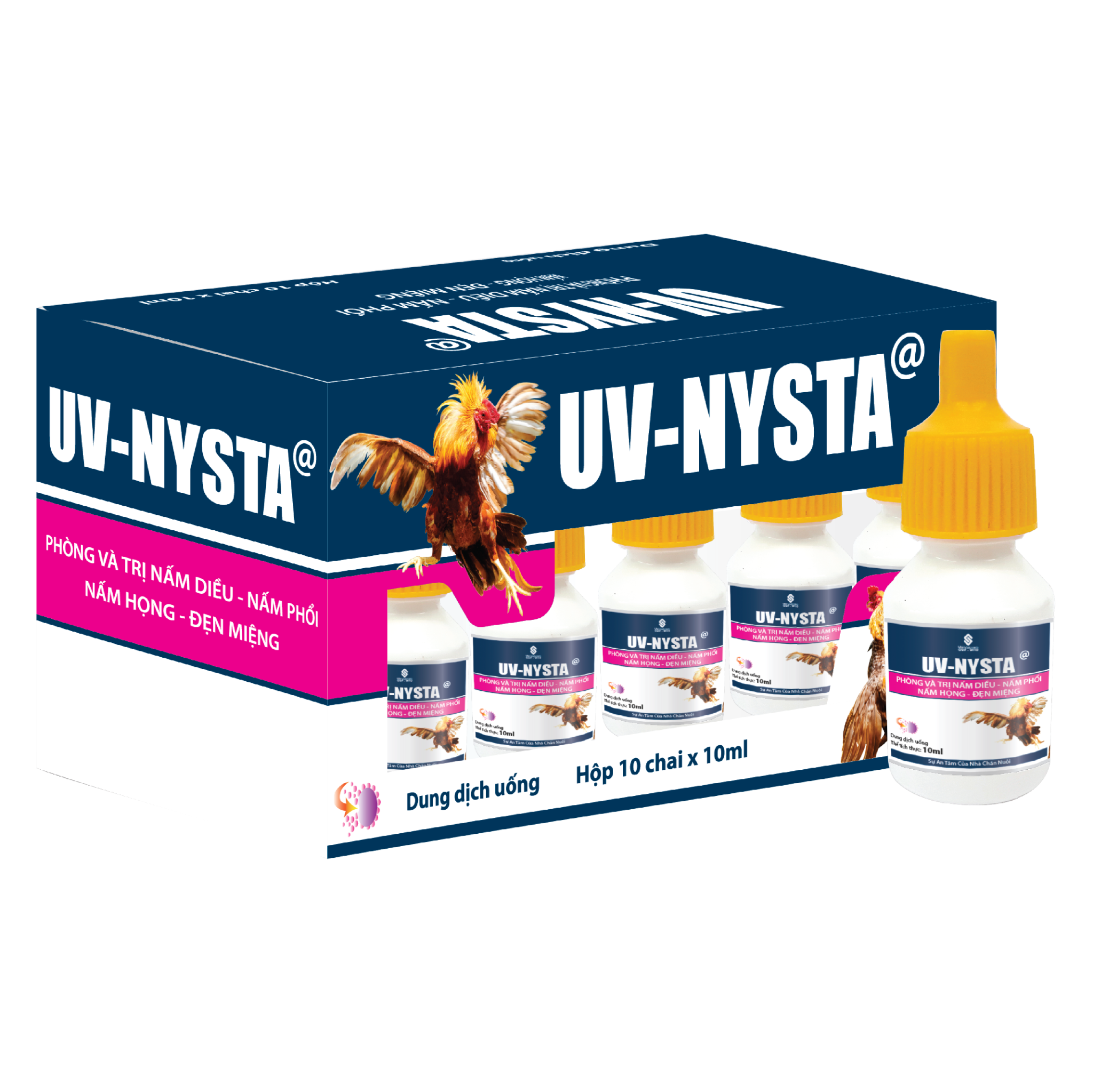  UV-NYSTA_@ 