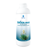  YUCCA MAX 