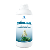  YUCCA MAX 