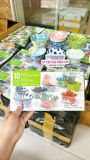  D26- Set 10 chén sứ cao cấp mỹ 