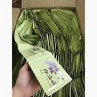  B524- Gội phủ bạc nhân sâm hàn quốc set 10 gói 