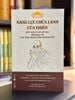  Năng lực chữa lành của thiền 