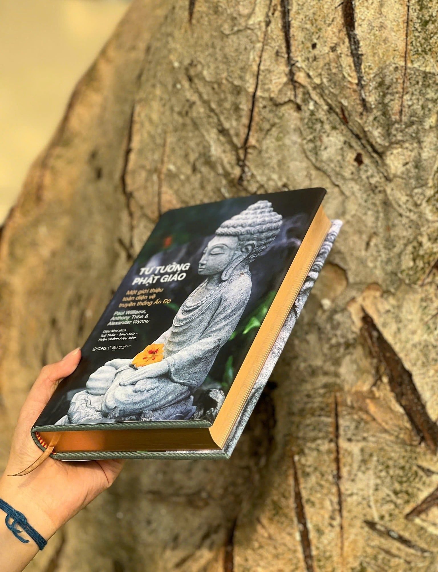  [Bản đặc biệt] Tư tưởng Phật giáo – Một giới thiệu toàn diện về truyền thống Ấn Độ 