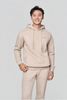 Áo Hoodie Nam AHHTK601