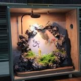  Đá thư pháp thủ công chữ NGỘ có tranh và đèn trang trí làm quà tặng 