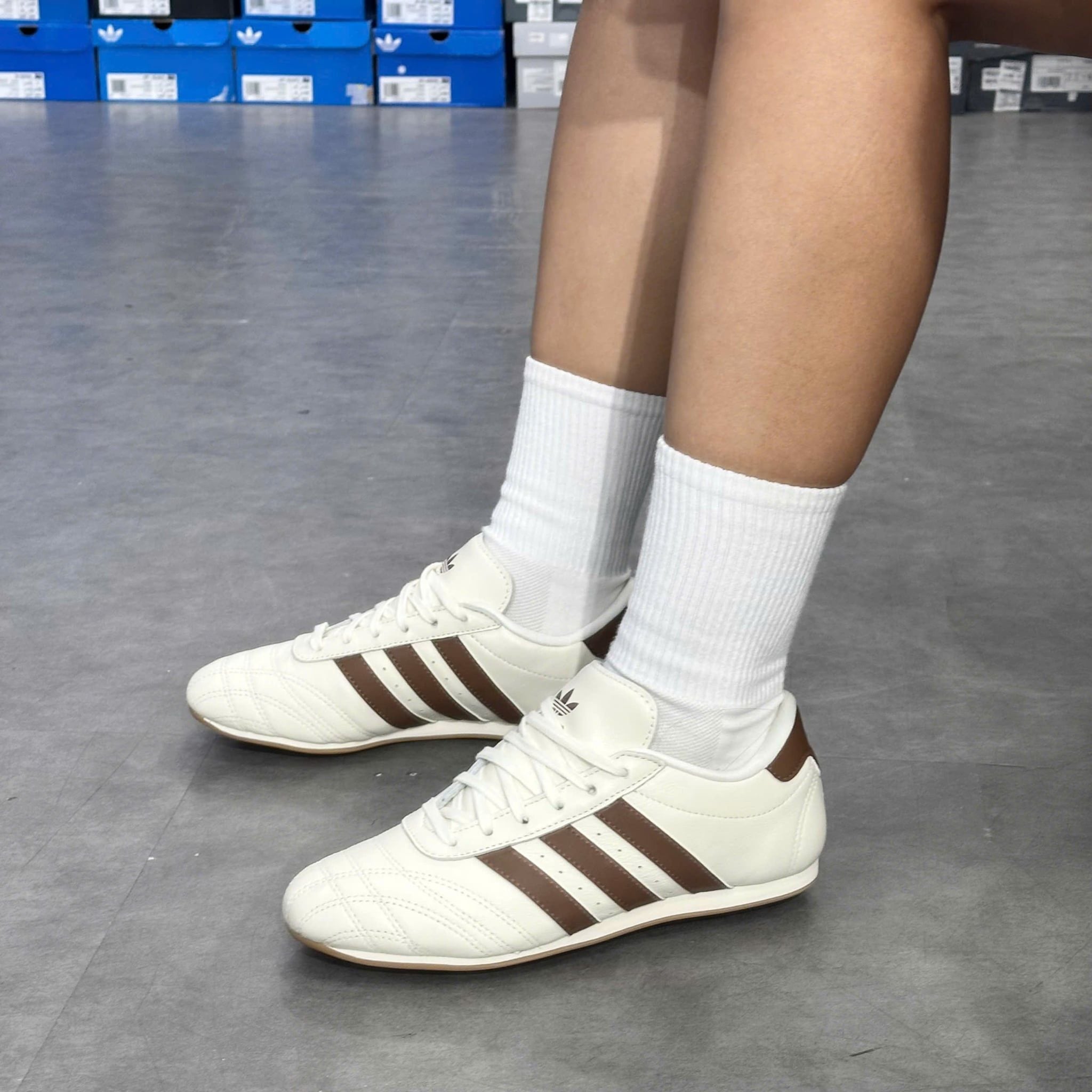  ADIDAS TAEKWONDO LACE W OFF WHITE BROWN JQ0565 