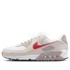 NIKE AIR MAX 90 WHITE COLLEGE GREY LAST DM0029-113