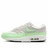 NIKE AIR MAX 1 ESSENTIAL SUMMIT WHITE PHOTON DUST VAPOR GREEN FZ5808-107