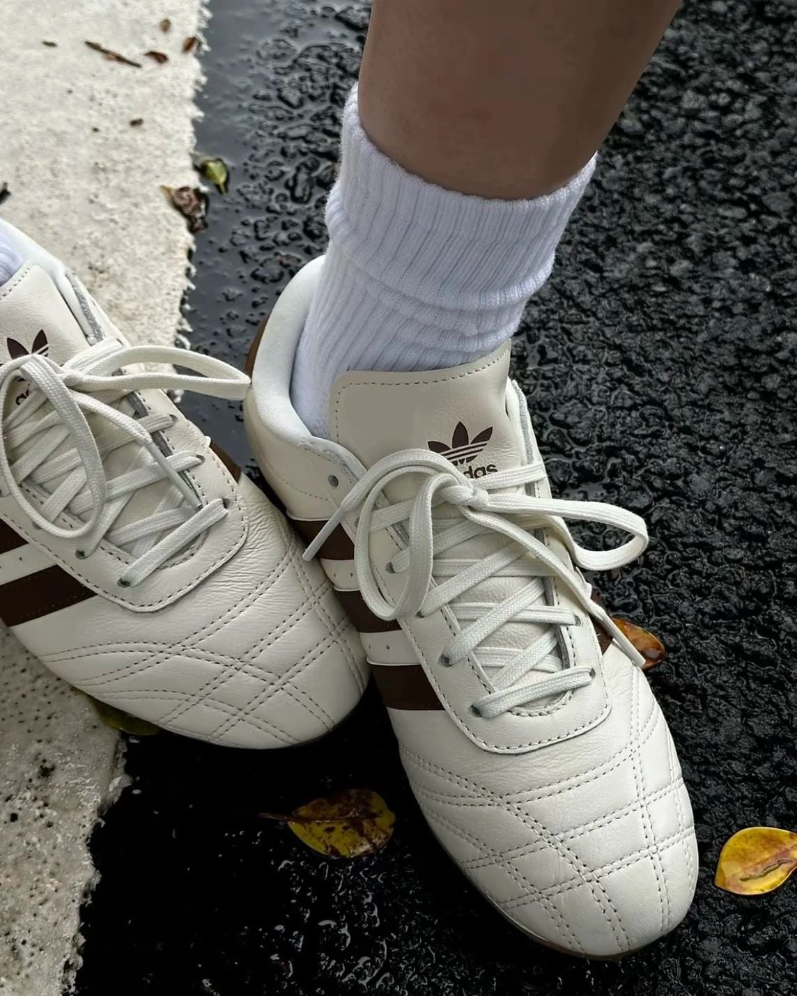  ADIDAS TAEKWONDO LACE W OFF WHITE BROWN JQ0565 