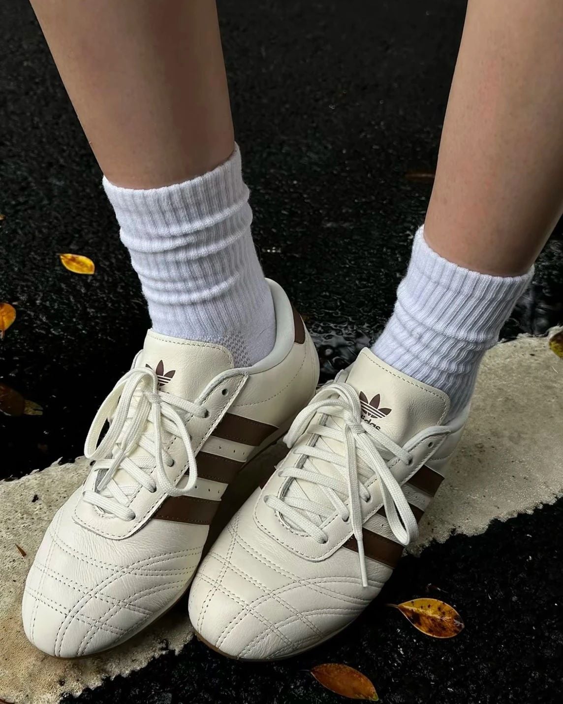  ADIDAS TAEKWONDO LACE W OFF WHITE BROWN JQ0565 