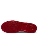  NIKE COURT VISION LOW NEXT NATRUE BRED FJ0685-010 