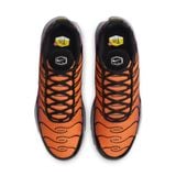  NIKE AIR MAX PLUS DESERT SUNSET DM0032-014 