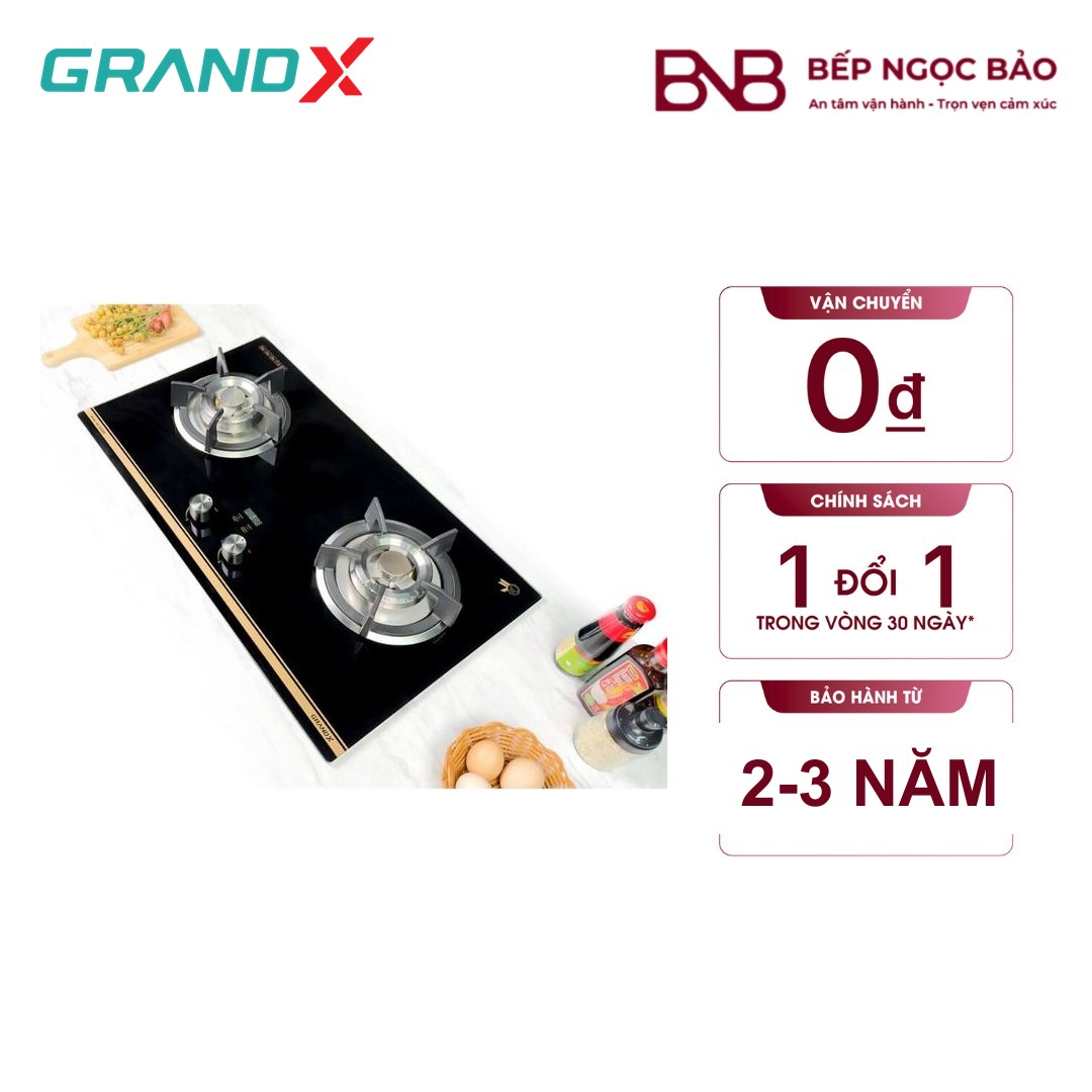 Bếp gas Grand X GX GS299D