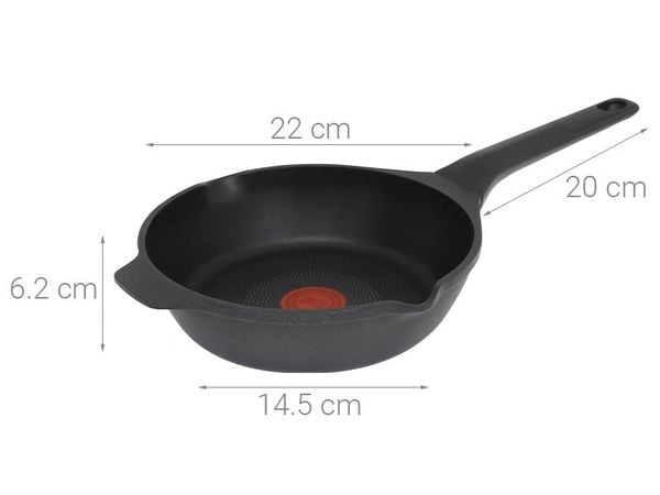 Nồi chảo Tefal E2490344