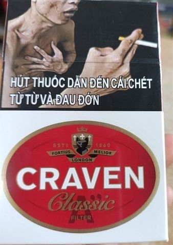  TL Craven mèo đỏ 
