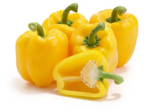  Ớt chuông vàng 
