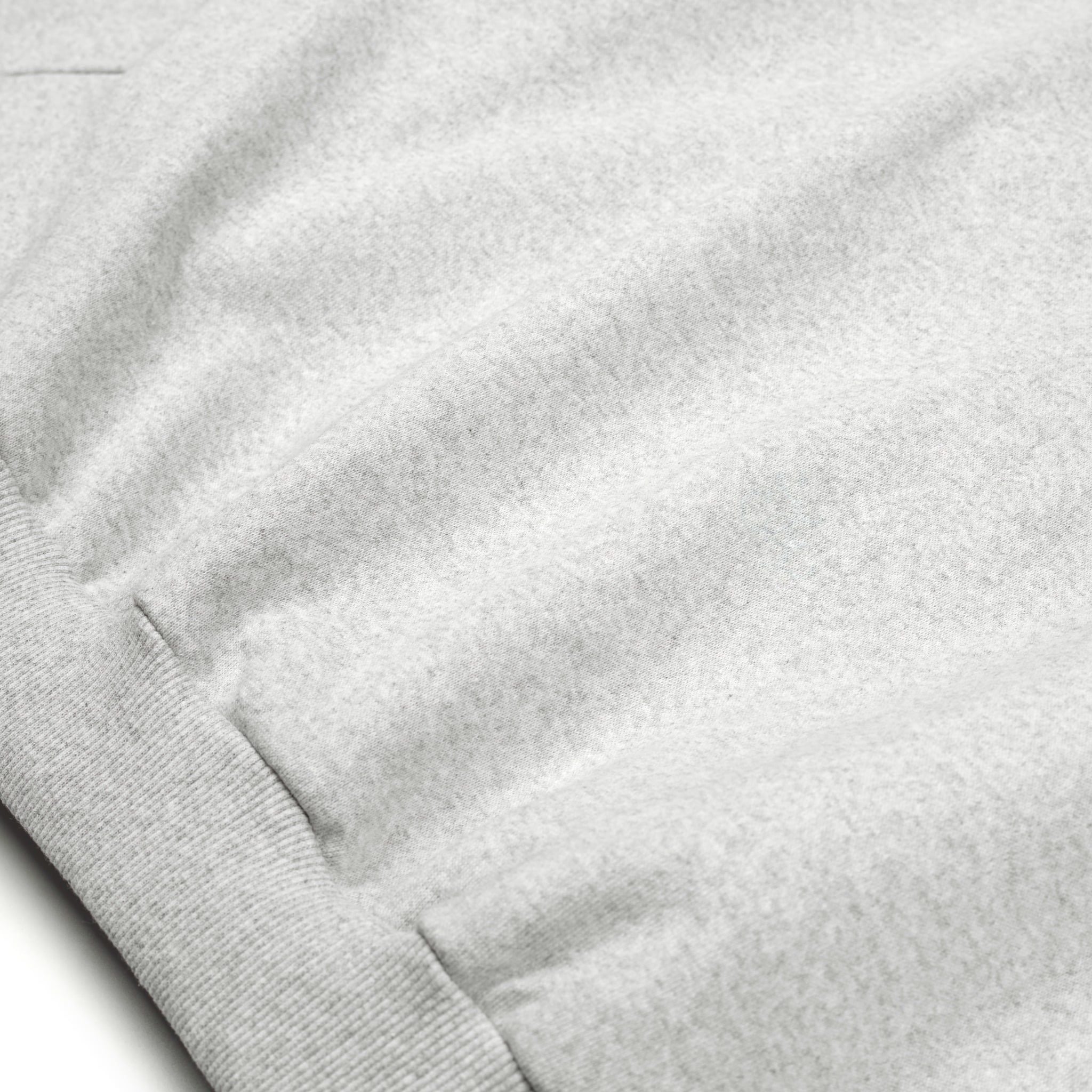  SWE CORE ZIP HOODIE - GRAY 