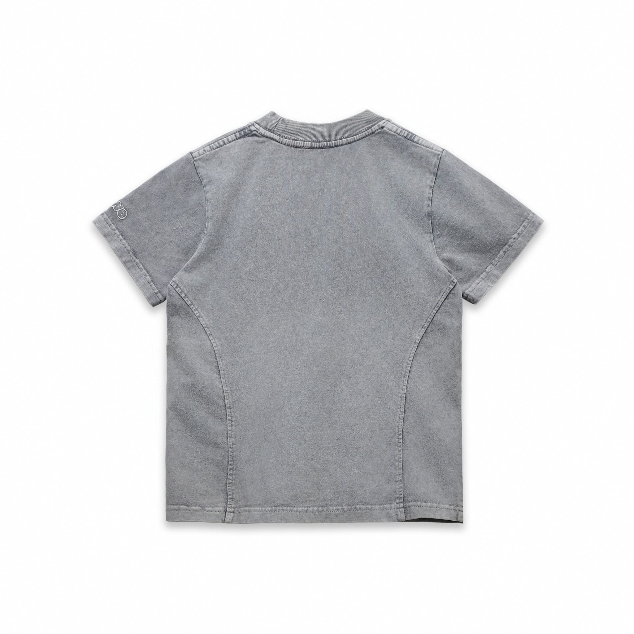  SWE HAZE WASHED BABY TEE - GRAPHITE 