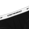  SWE SGNT BRIEF 