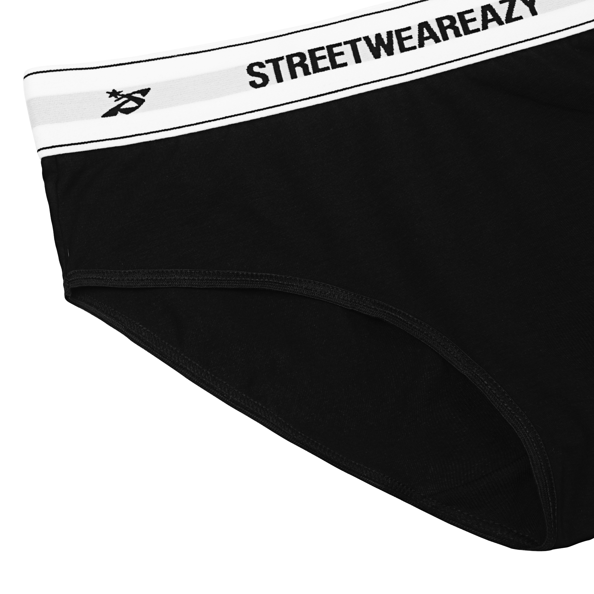  SWE SGNT BRIEF 