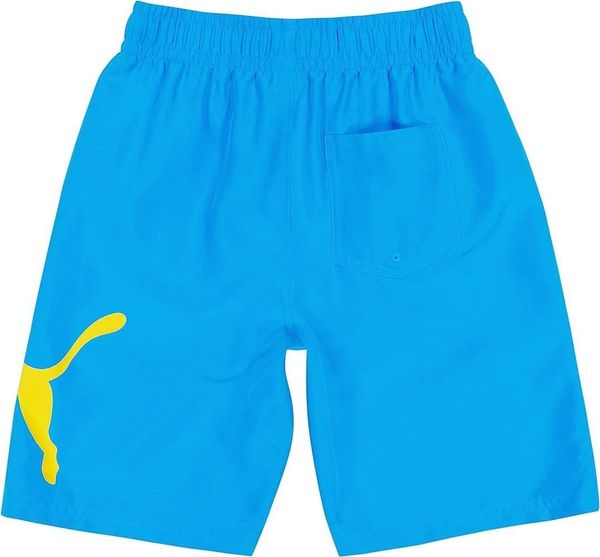 DB00043 - Quần bơi 3 màu BT