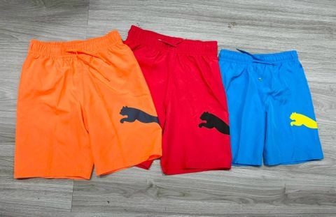 DB00043 - Quần bơi 3 màu BT