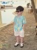 VJ 115 - Bộ đũi June 2 màu Bé Trai size 1 - 10y