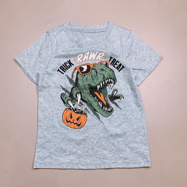 ABT78 - Áo cotton CTs Kids bé trai nhiều màu size 4-14y