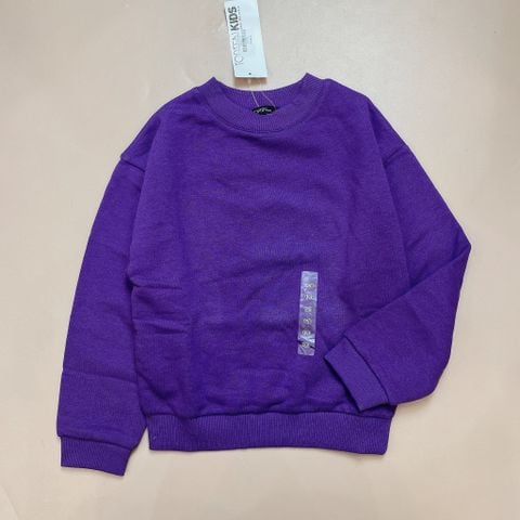ABT101 - Áo nỉ bông trơn nhiều màu size 100 - 160