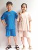 BBG33 - Bộ cotton Bee Mon nhiều màu thêu chữ ngực Paris / Seoul size 110 - 160
