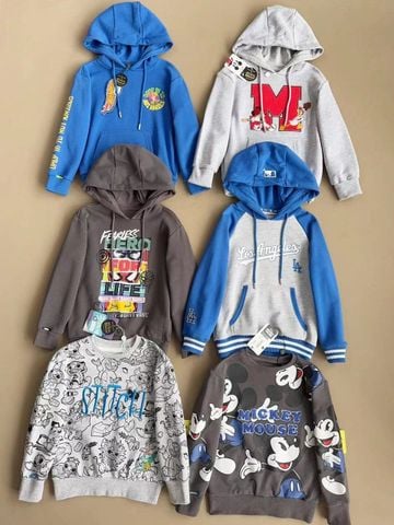 ABT100 - Áo nỉ da cá Hollyland dư xịn nhiều màu cho bé trai size 3-12y